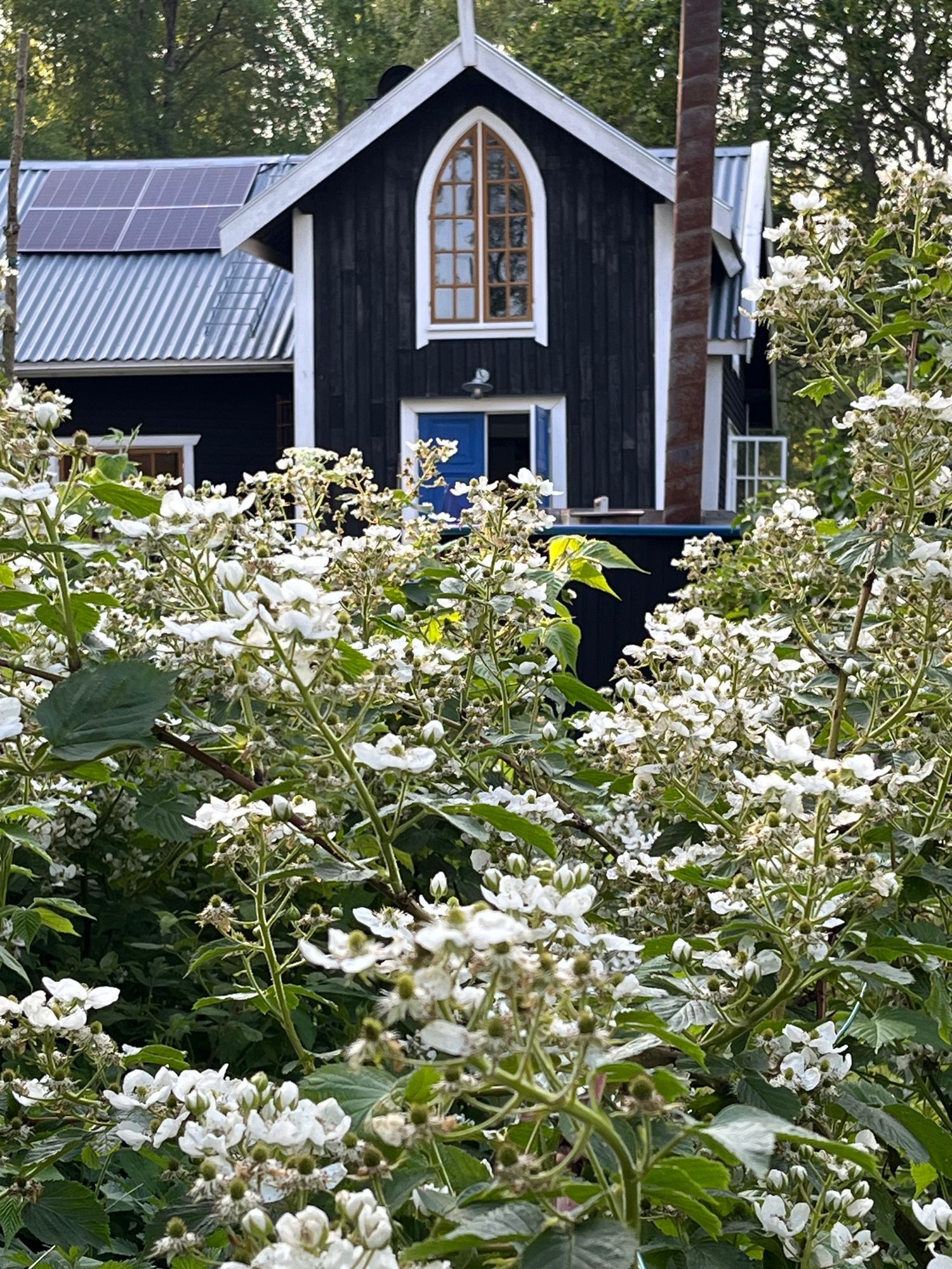 Ett torp i Sörmland med karaktär