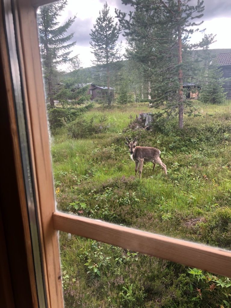 Fjätervålen, Idre, – bild 17 av 17