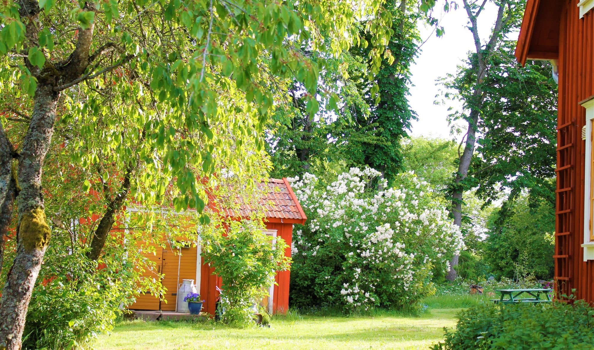 Rogivande boende i 1800-talsmiljö – bild 8 av 24
