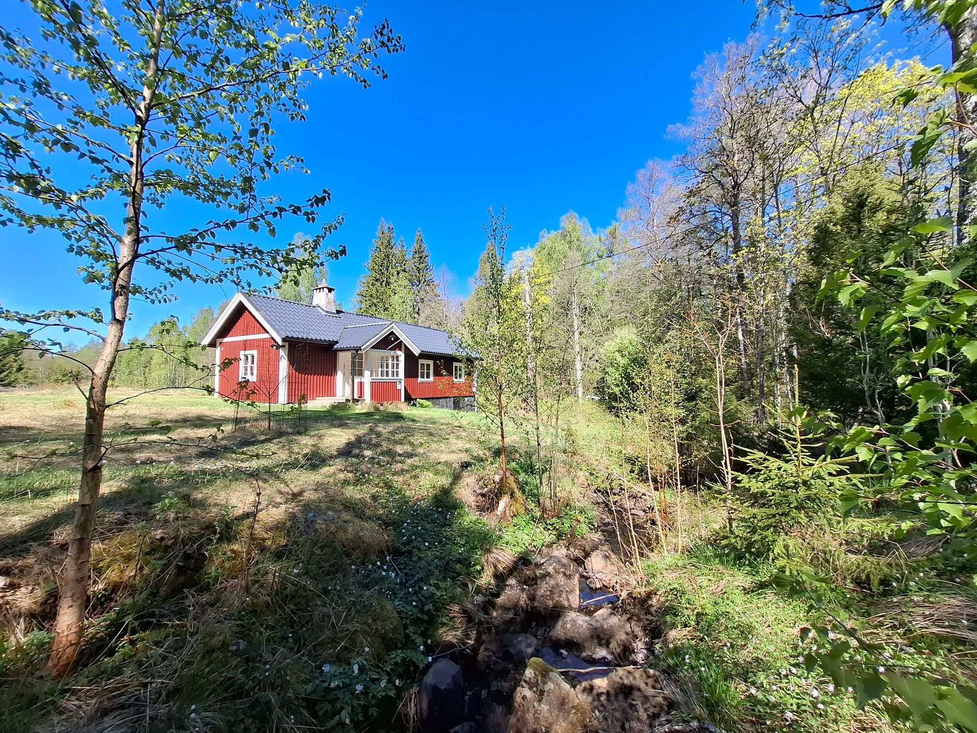 Stuga 'Lodjur' vid kanten av Glaskogen