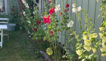 Mysigt sommarhus i centralt läge, Löderup by