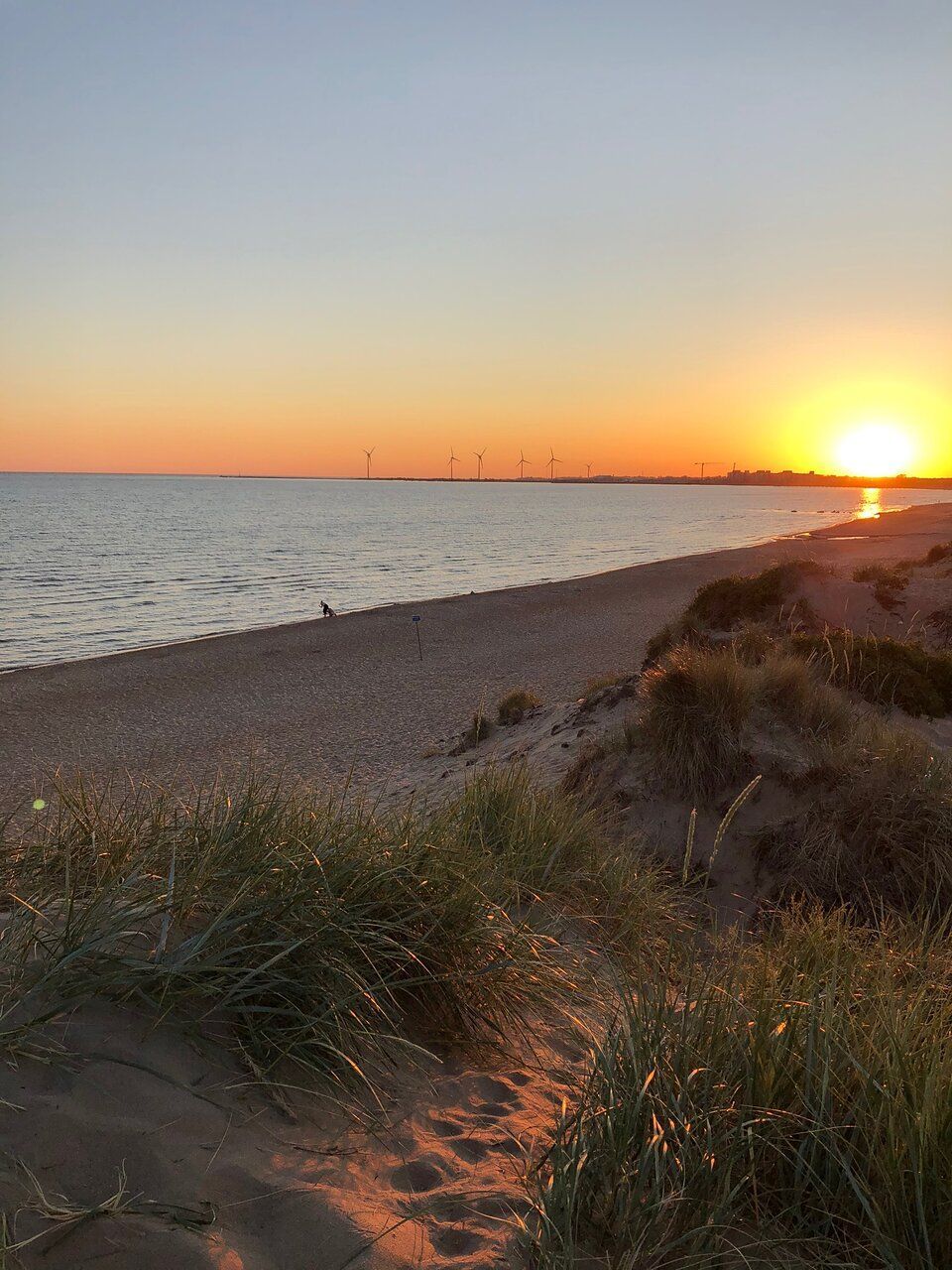 Nybyggd badstuga 20m från stranden – bild 9 av 11