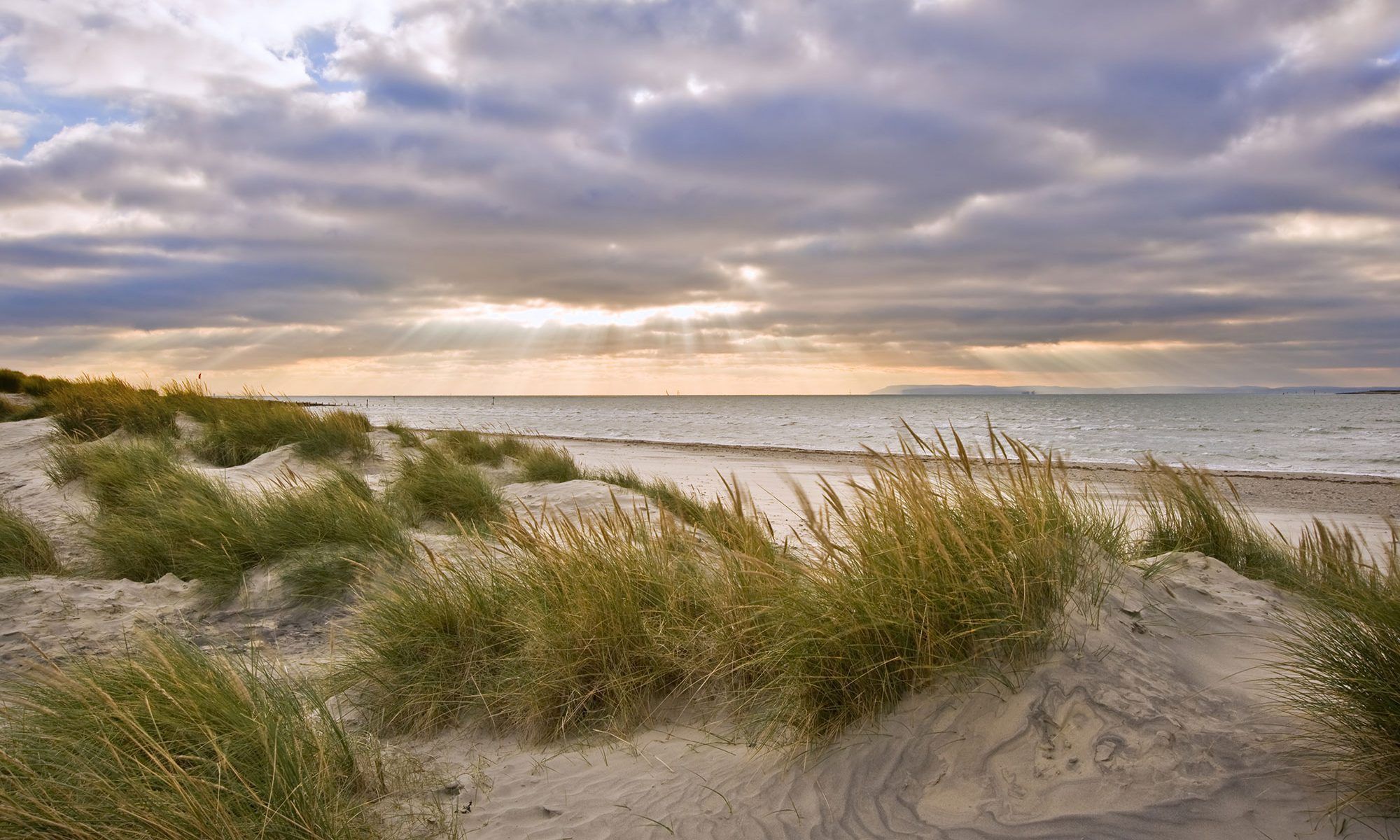 Nybyggd badstuga 20m från stranden – bild 10 av 11