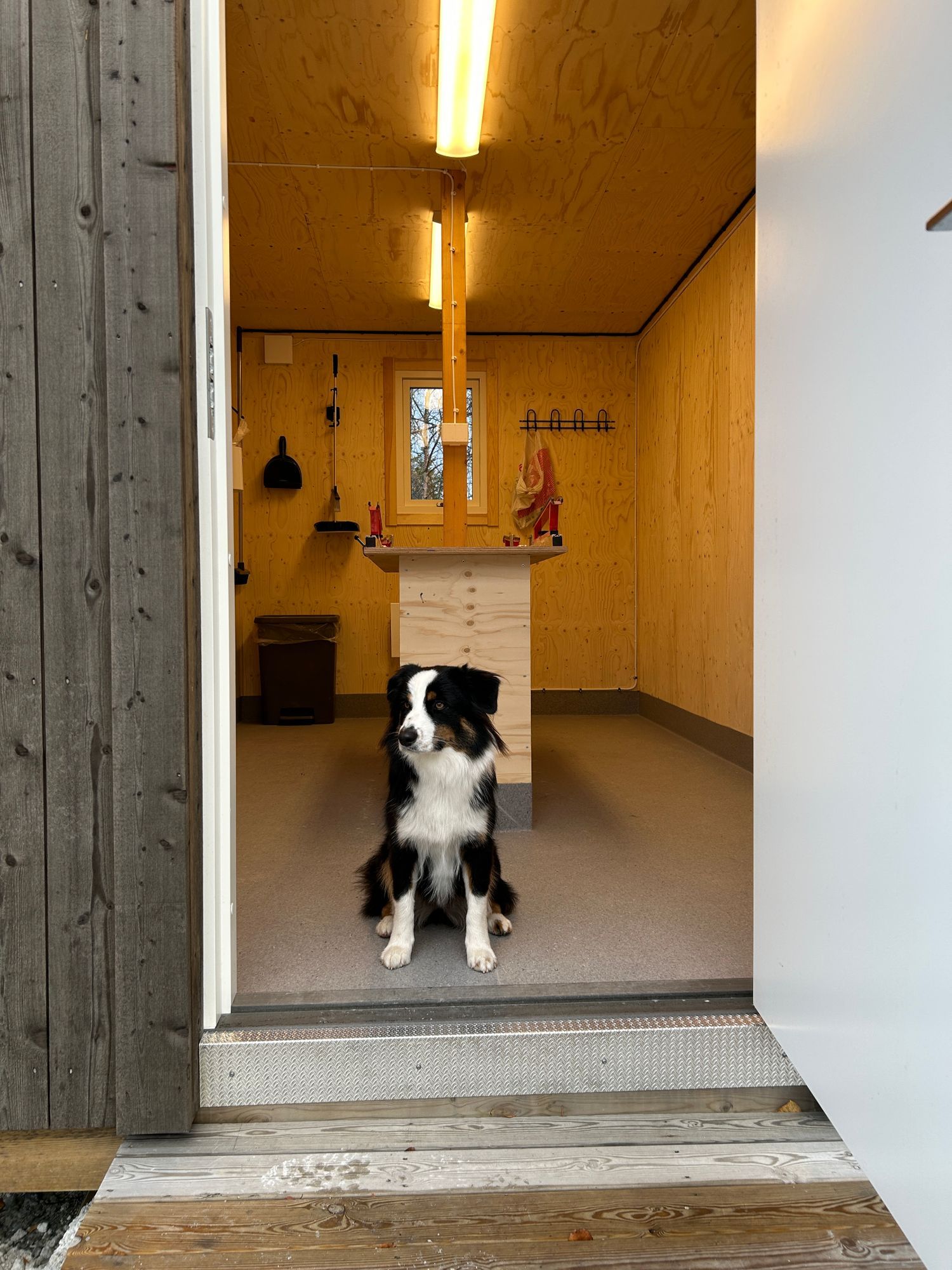 Mysig stuga Mittåkläppen i Bruksvallarna – bild 11 av 22