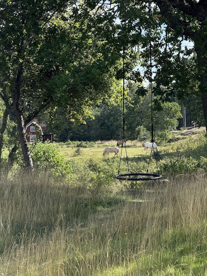 Torö - Skärgårdsstuga – bild 8 av 23
