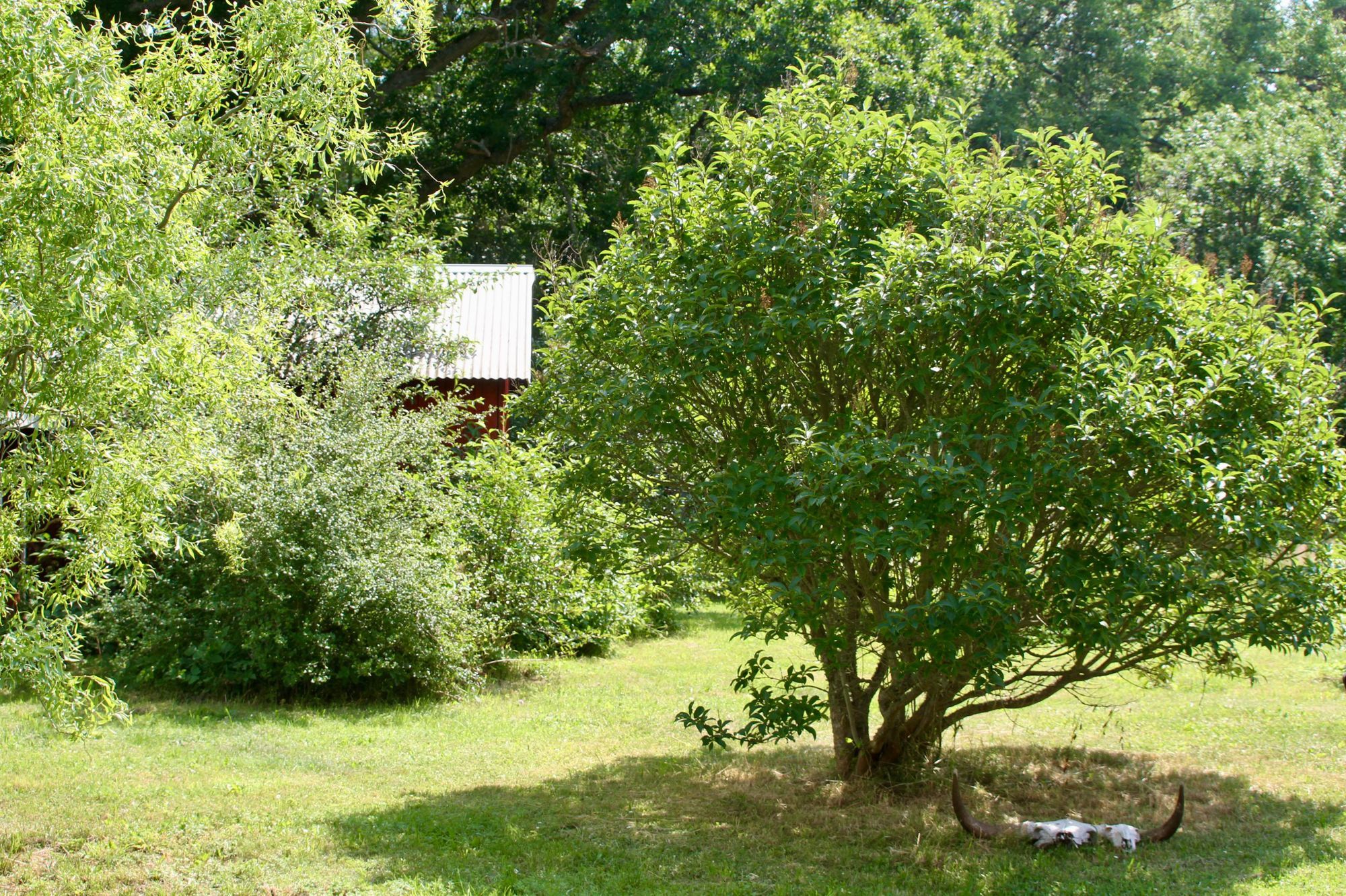 Mysigt semesterboende i Dalhem - Gotland – bild 10 av 19