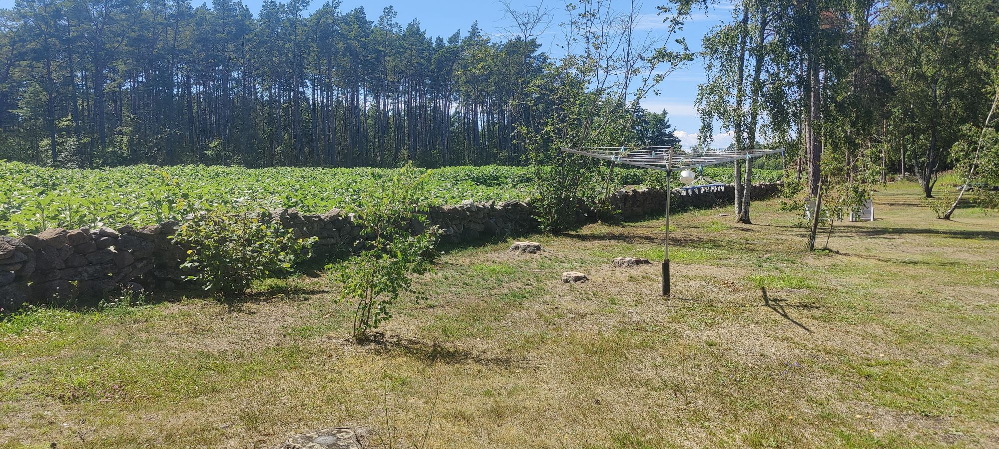 Böda Norra Öland fin sommarstuga med lugnt läge. – bild 9 av 9