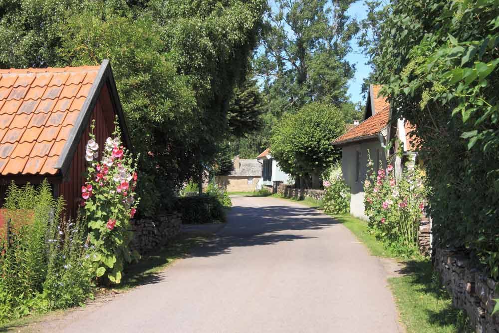 Hus vid Alvarets kant- fågelskådare – bild 12 av 19