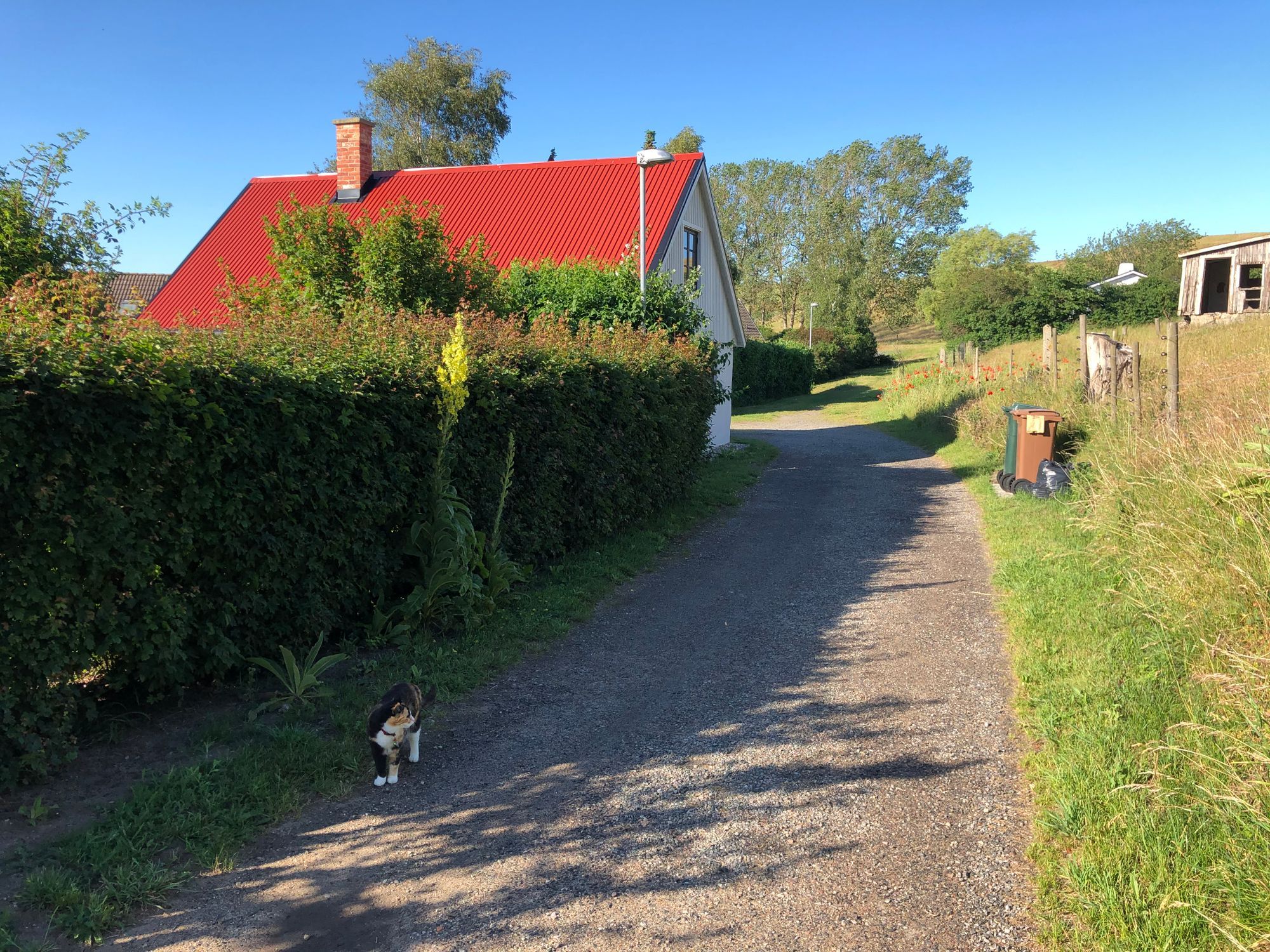 Målarens, Kåseberga, Österlen – bild 2 av 12