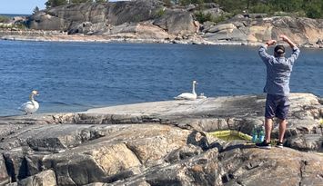 Två separata hus på skog/sjötomt vid Ålands hav