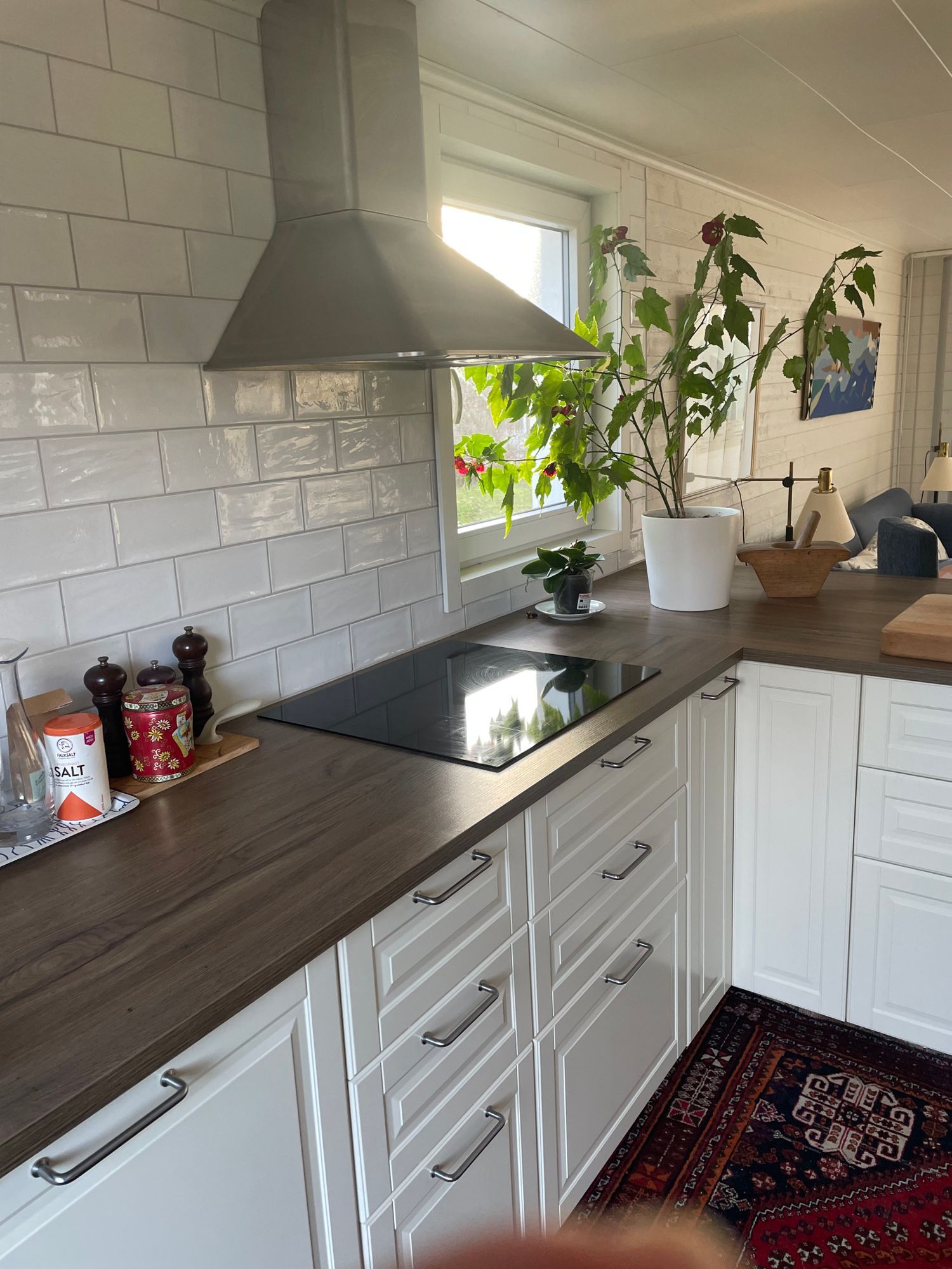 Sommarhus vid havet – bild 13 av 15