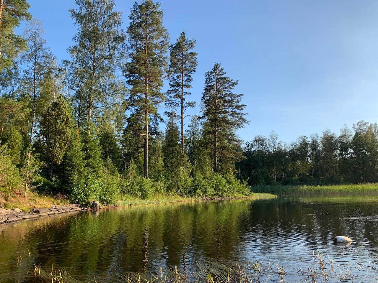 Sommarstuga nära Värmeln – bild 15 av 17
