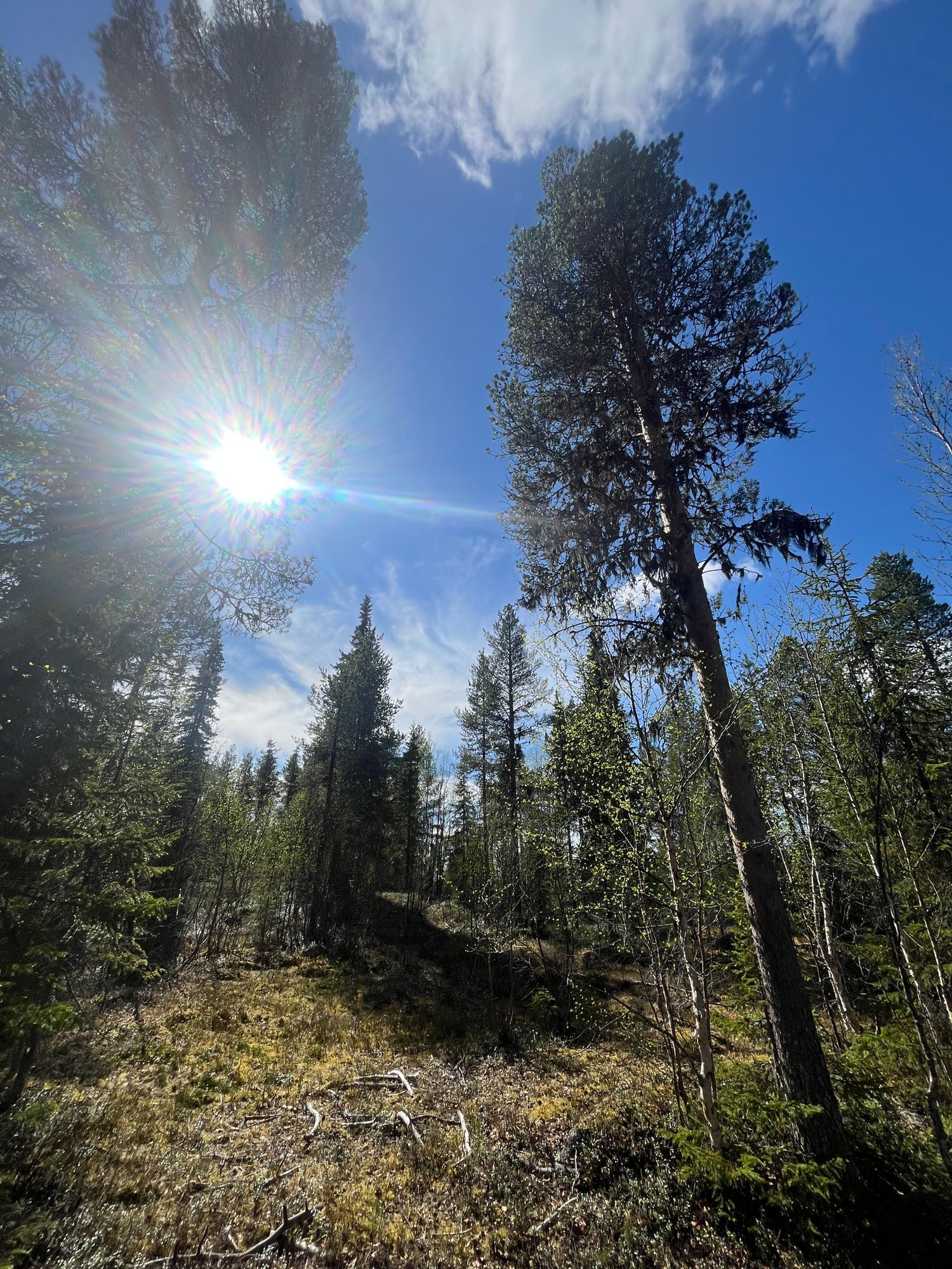 Njut av svenska Lappland med privat bastu – bild 7 av 24