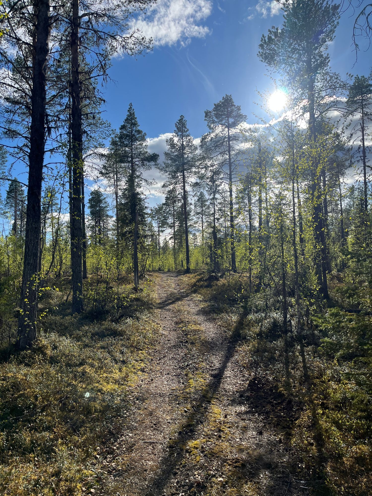 Njut av svenska Lappland med privat bastu – bild 11 av 24