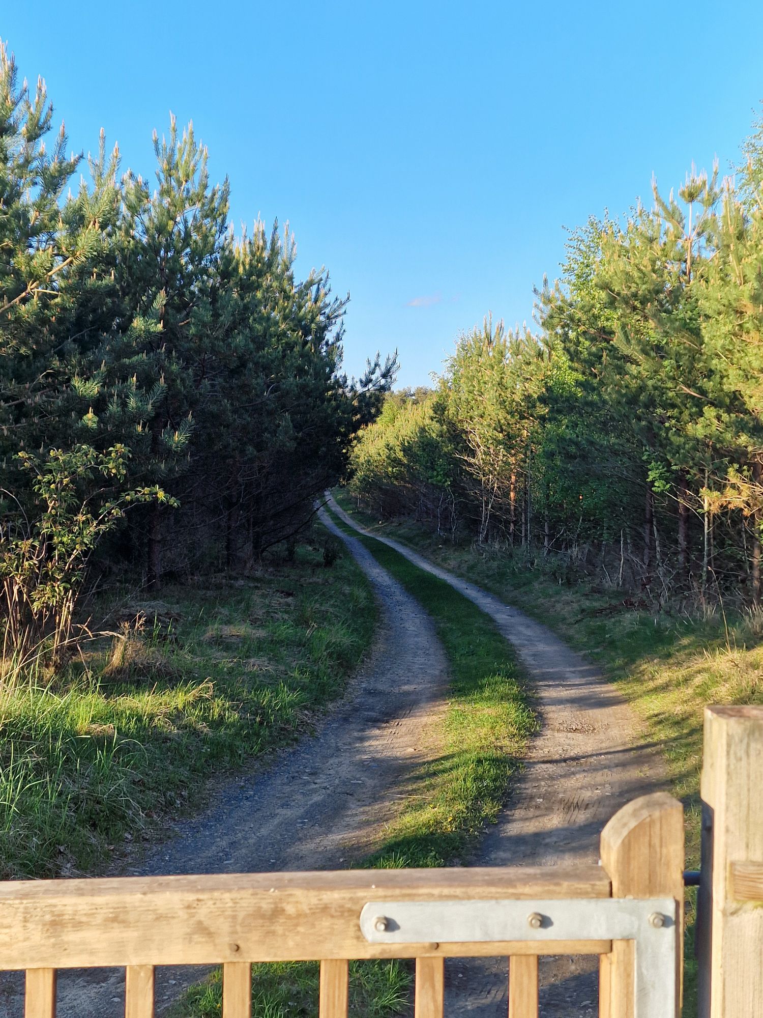 Mysig stuga i naturidyll – bild 10 av 17