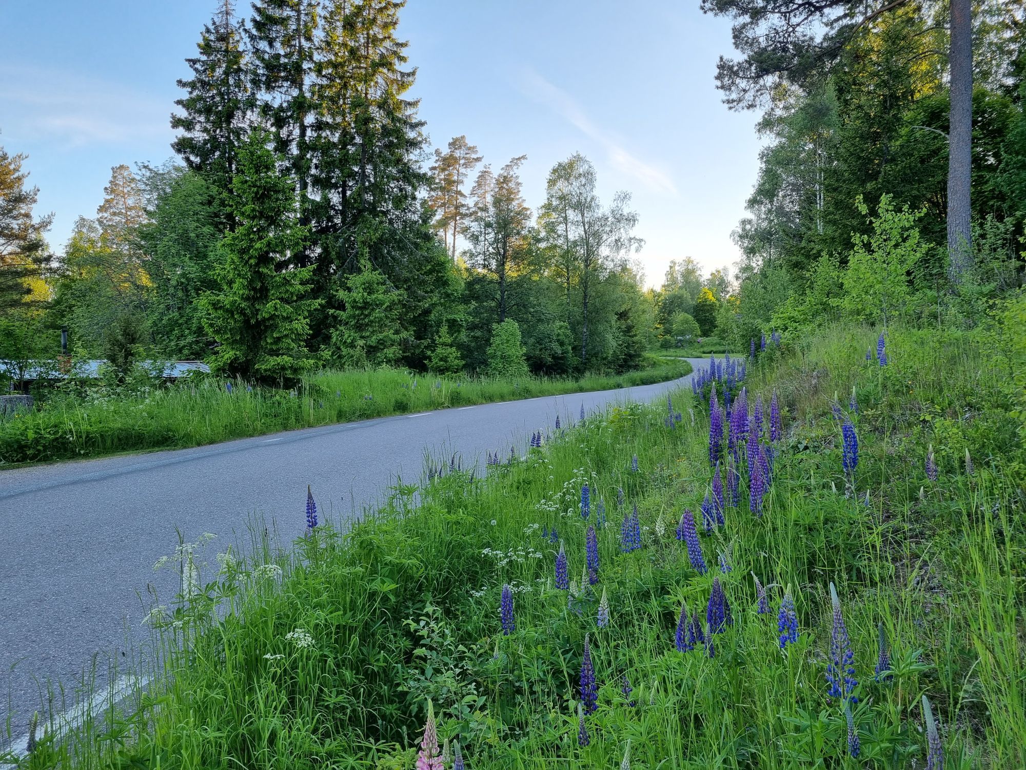 Liten stuga med sjöutsikt – bild 6 av 22