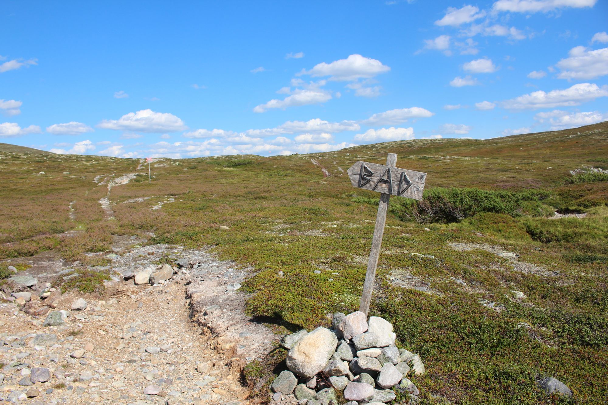 Åk Skidor, Vandra, Koppla Av: 50m till skidspår – bild 16 av 24
