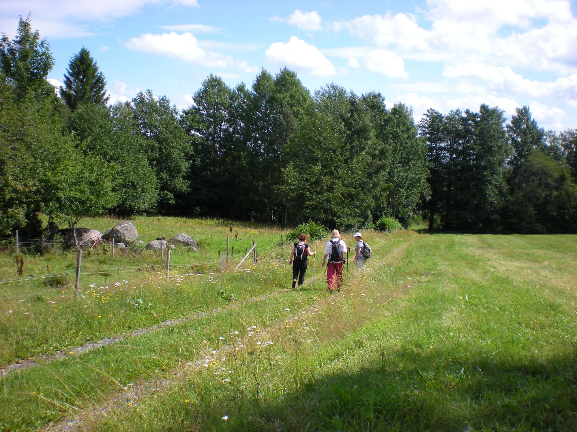 Lilla Rödjorna nära Tivedens National Park – bild 23 av 23