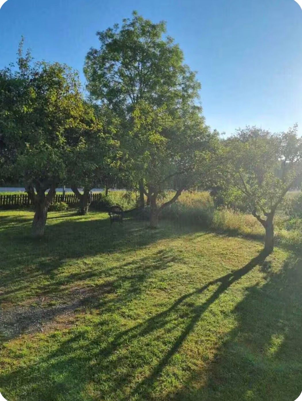Villa norra Gotland – bild 5 av 12