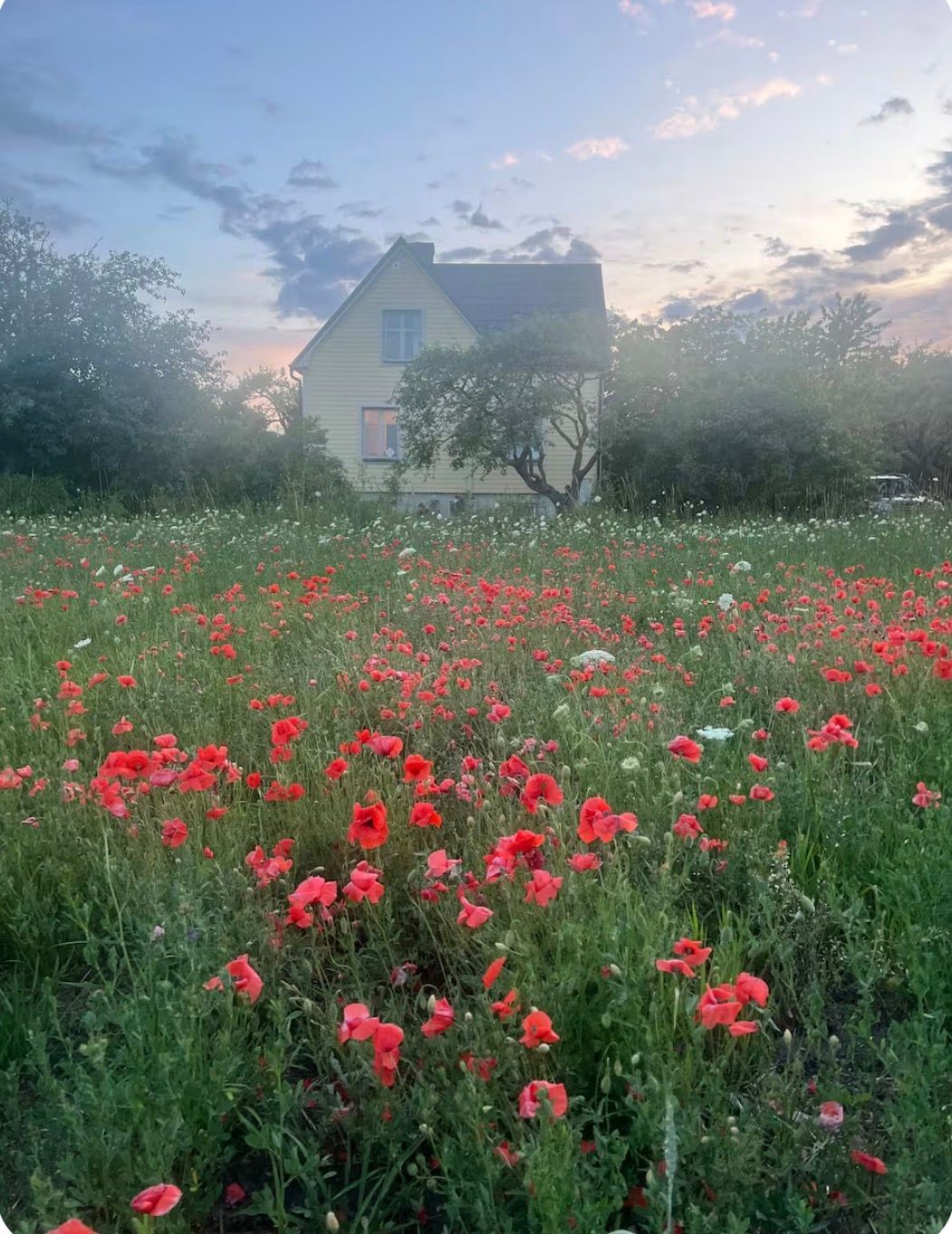Villa norra Gotland – bild 2 av 12