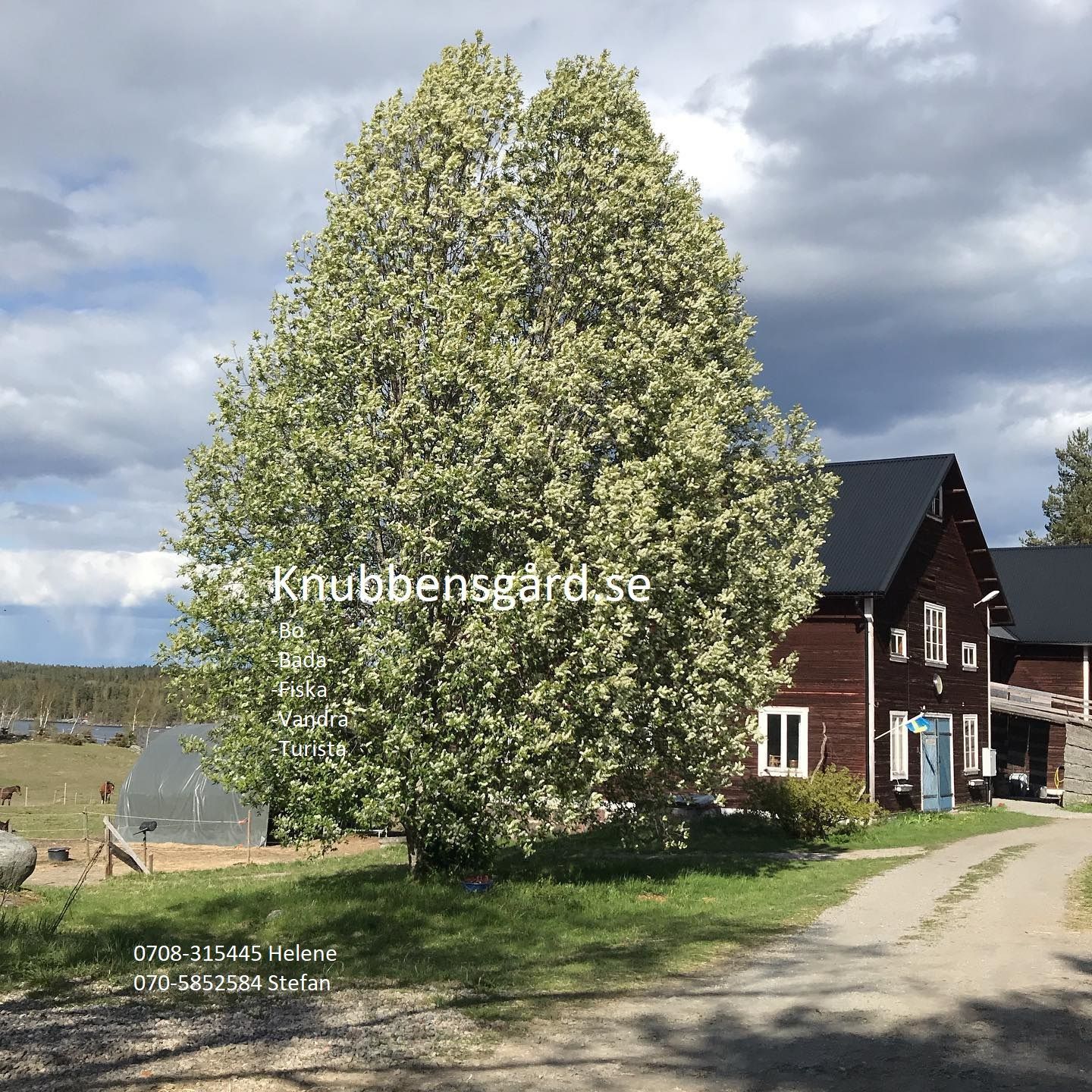 Herrskapssviten – bild 6 av 9