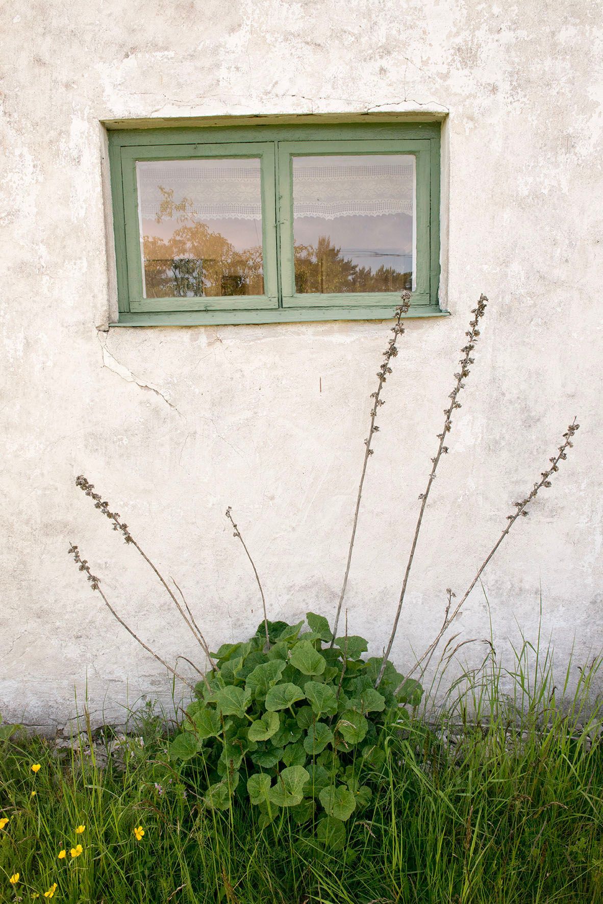 Genuint kalkstenshus på Fårö – bild 9 av 11