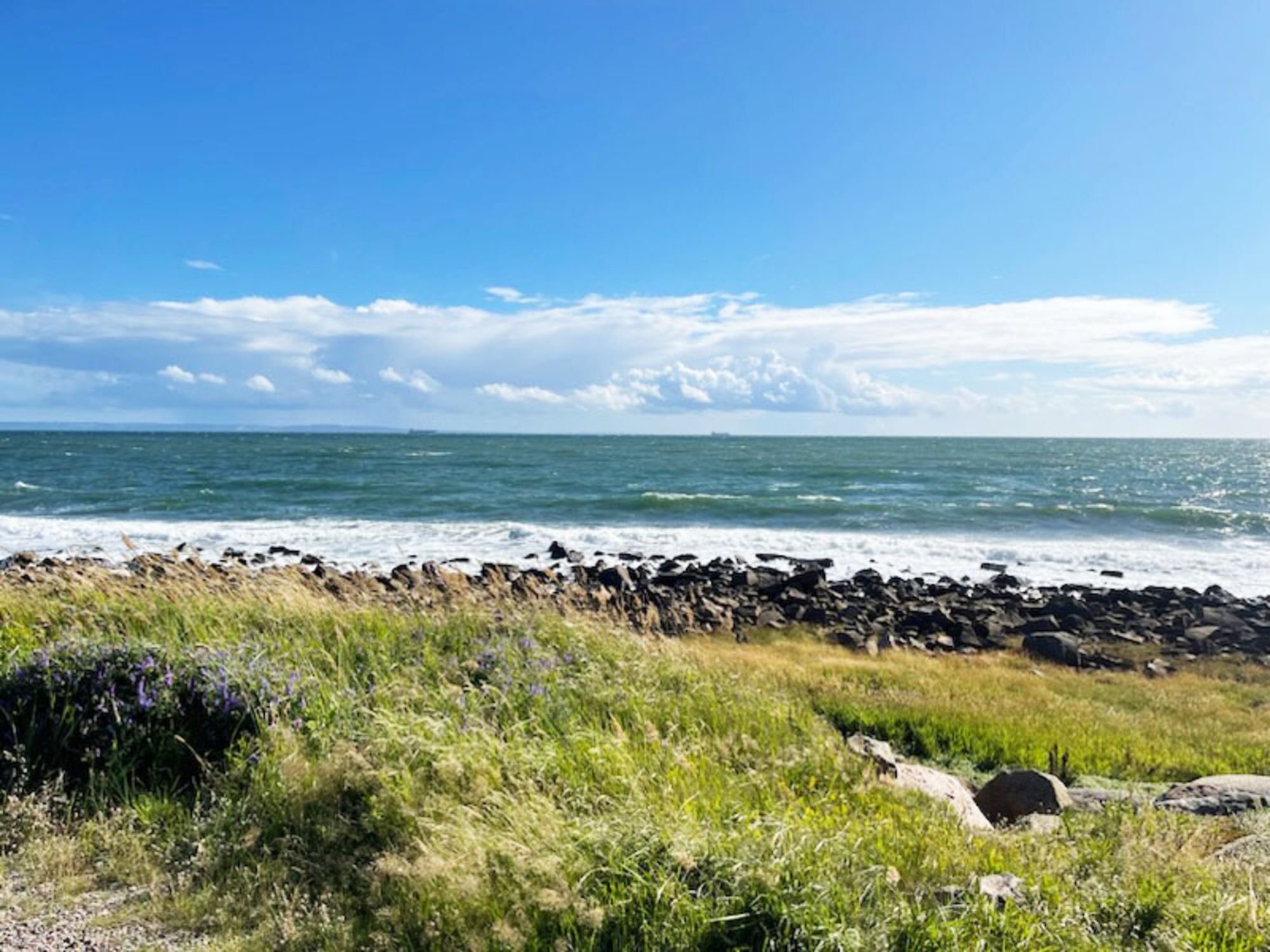 Strandnära boende med nära Tylösan|SE02037 – bild 17 av 19