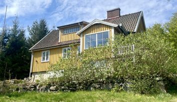 Mysig sommar hus i skogen och nära sjö