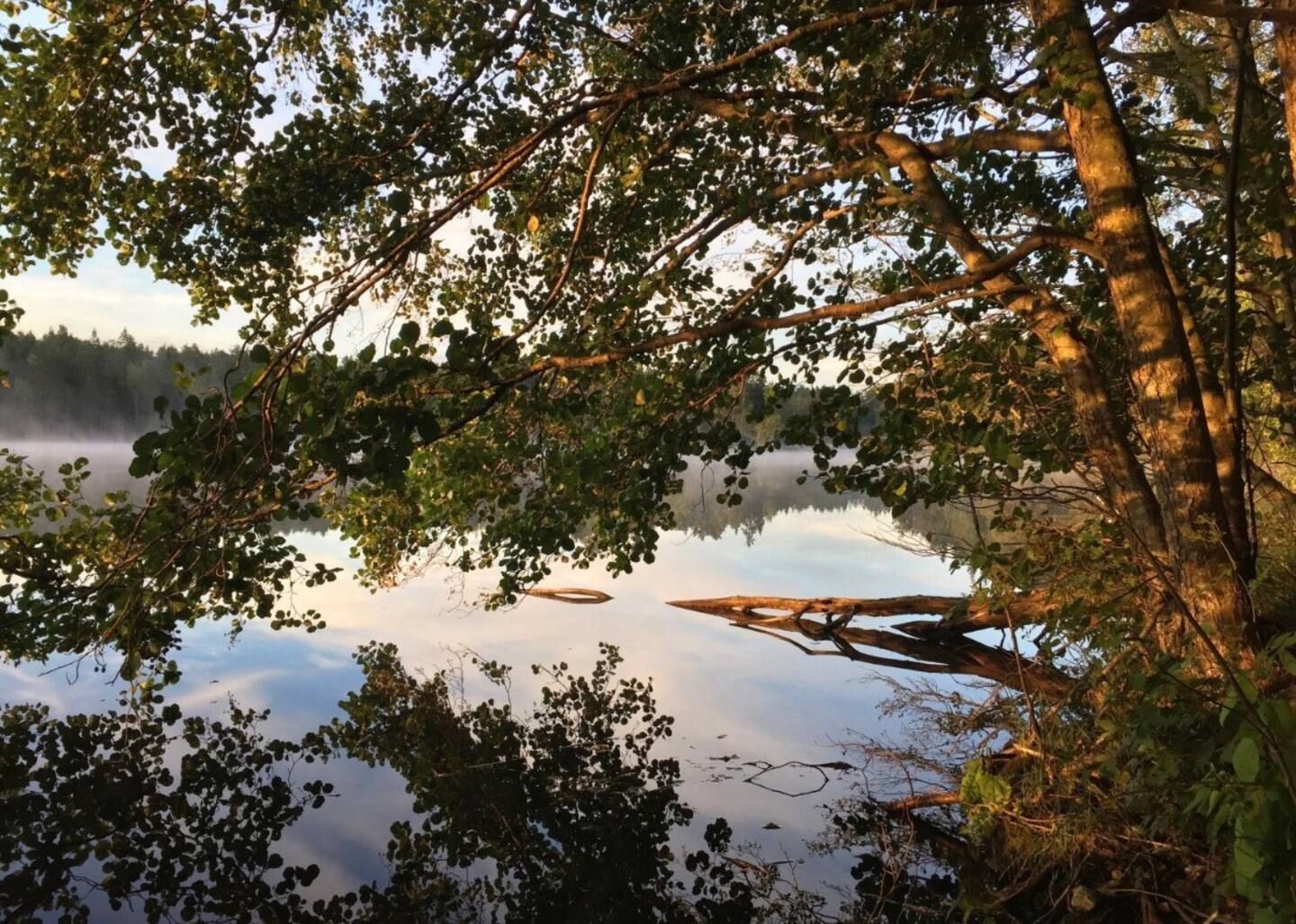 Mysigt skandinaviskt familjehem nära natur & stad – bild 18 av 21