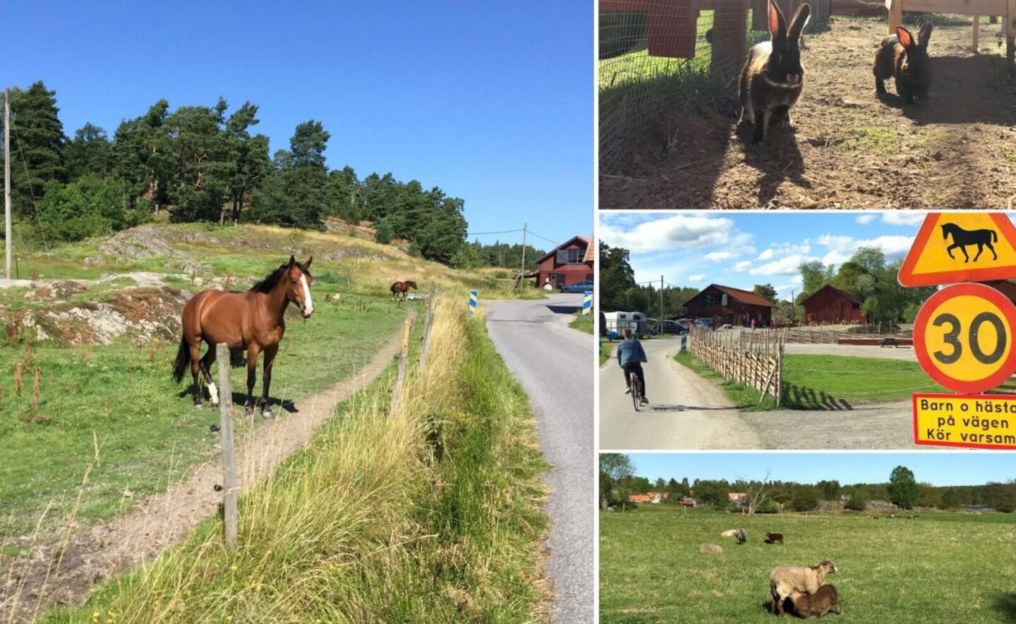 Mysigt skandinaviskt familjehem nära natur & stad – bild 21 av 21
