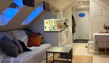 Mysig lägenhet 1,3 km från centrum.