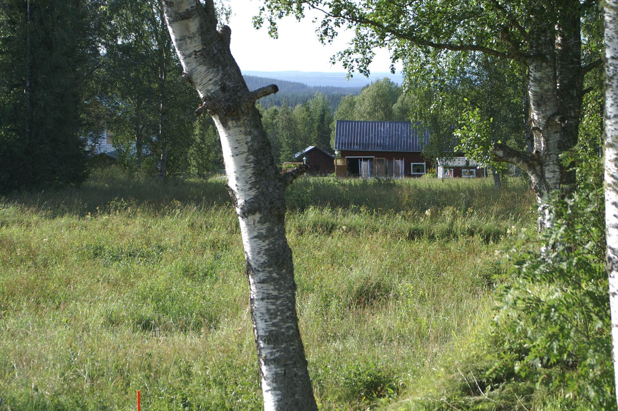 Charmig stuga nära Dammåns fiske och Bydalsfjällen – bild 15 av 24