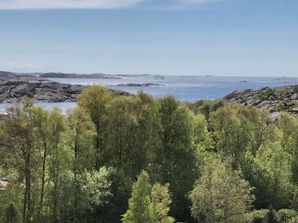 BOHUSLÄN Bra boende med hav, klippor och båtplats – bild 14 av 20