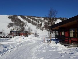 Mysig stuga Storlien, Fjäll-lien