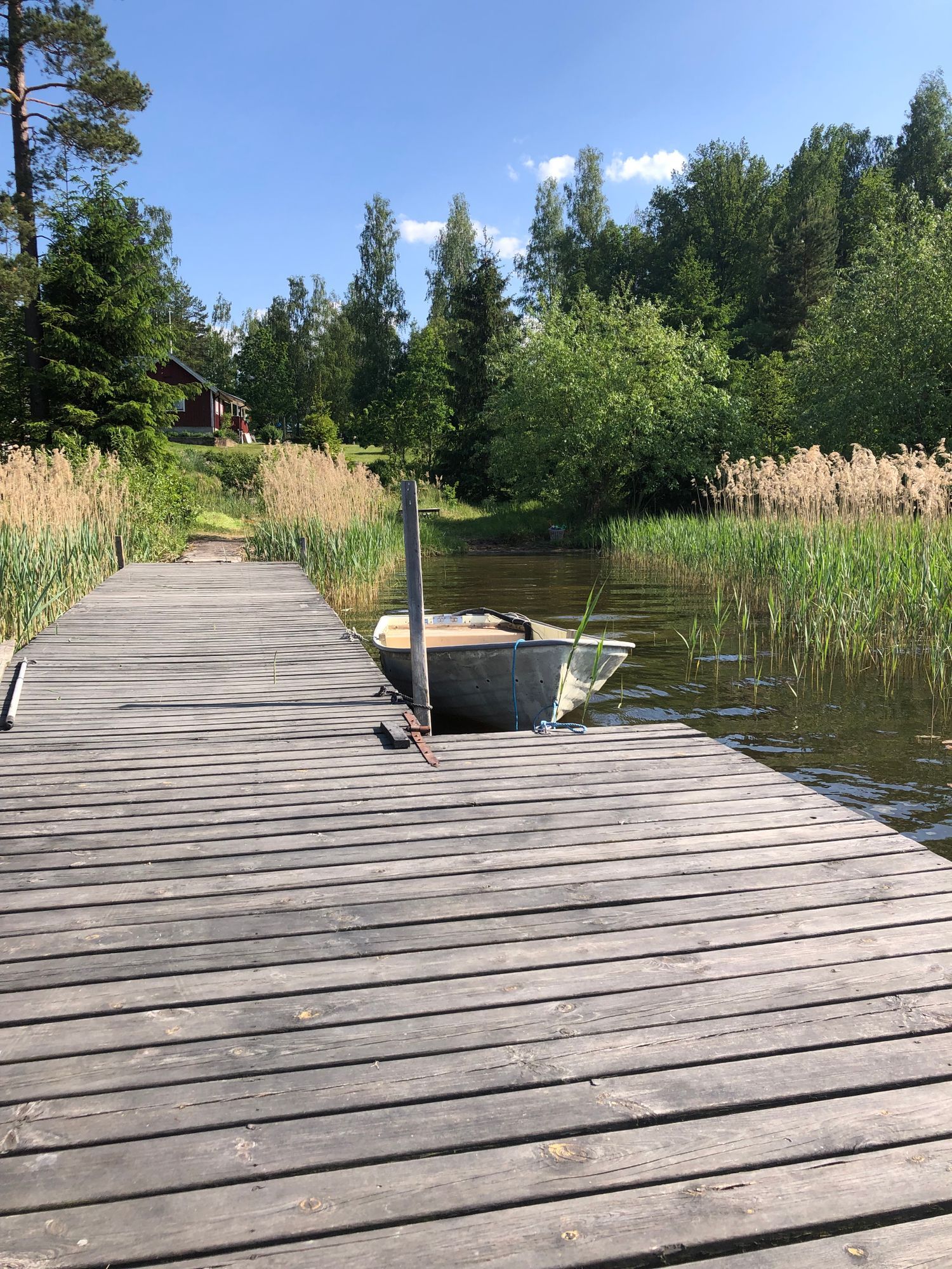 Liten stuga på standen av insjö – bild 7 av 14
