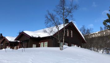Mysigt parhus vid Buskvallen i Tänndalen