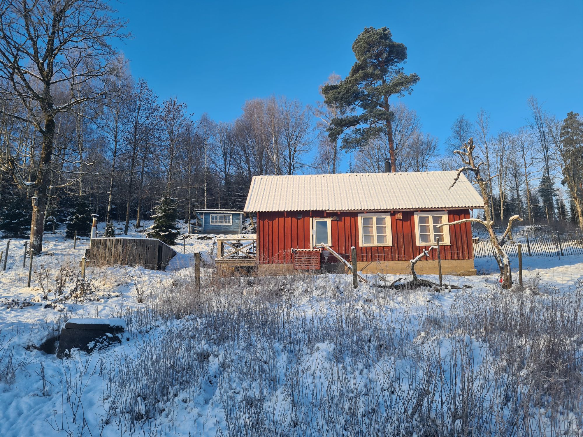 Lantlig stuga med utsikt