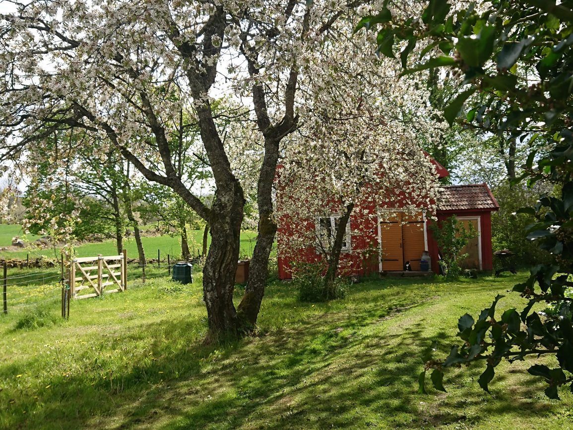 Rogivande boende i 1800-talsmiljö – bild 4 av 24