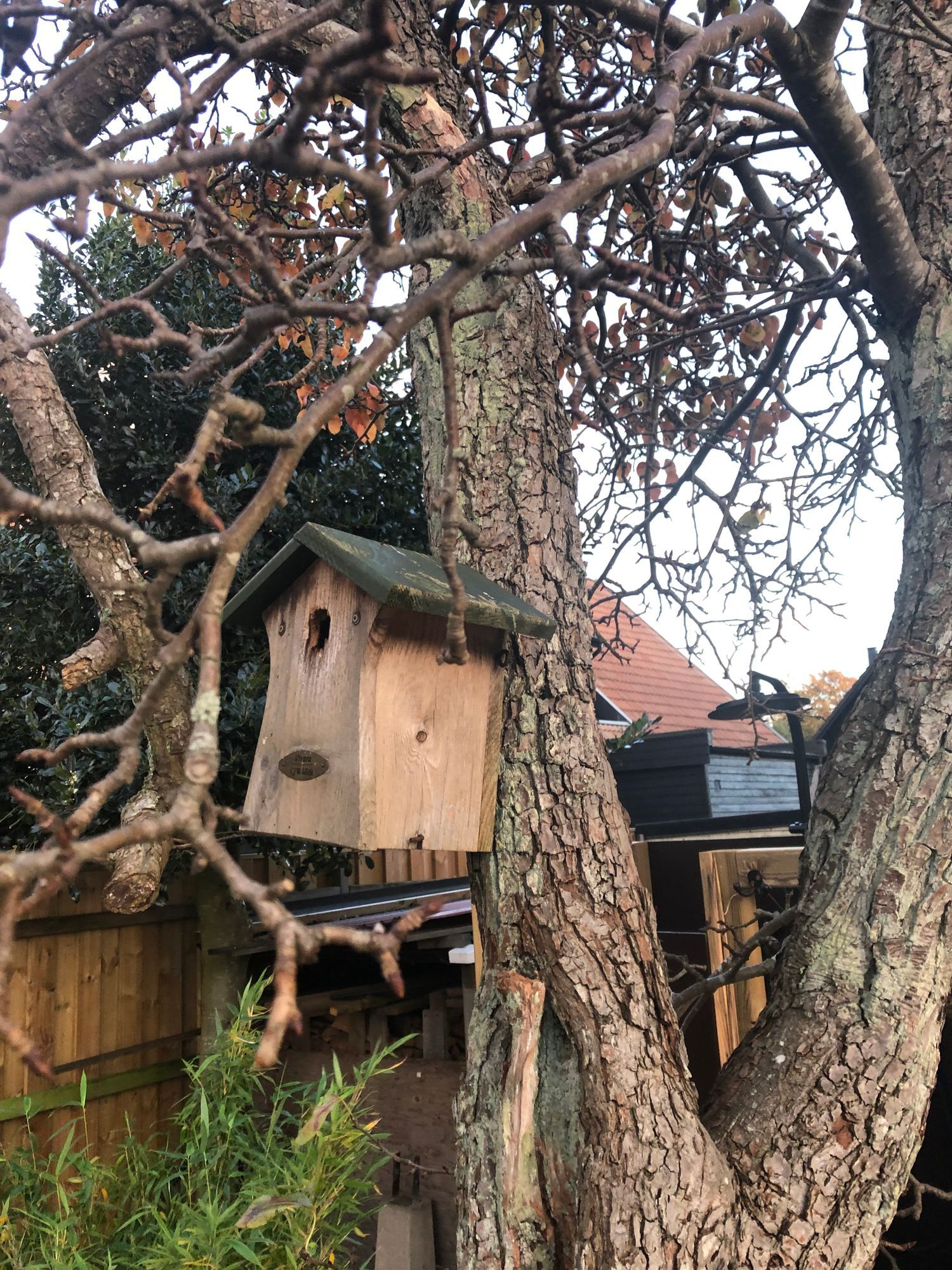 Villa Vilebo – bild 20 av 24