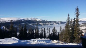 Åre/björnen