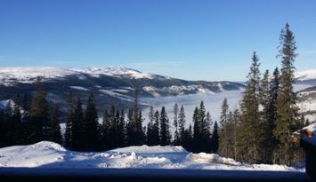 Åre/björnen