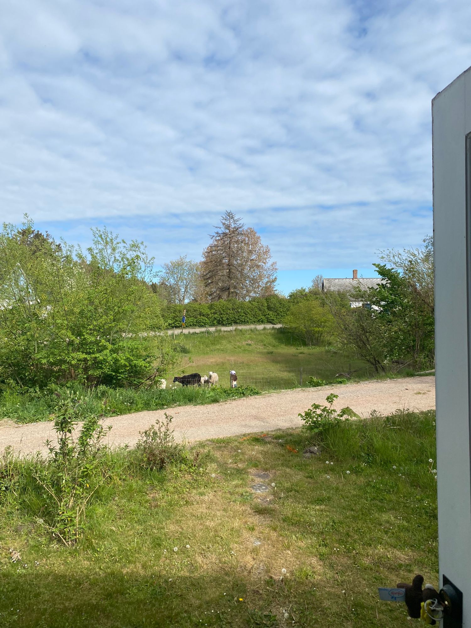 Mysigt sommarhus längs skånska kusten i Smygehamn – bild 19 av 24