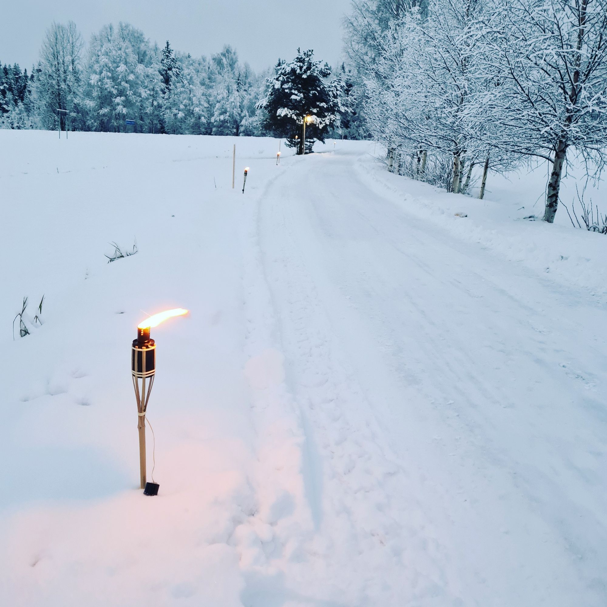 Lantligt hus nära Skellefteå – natur, lugn – bild 11 av 13