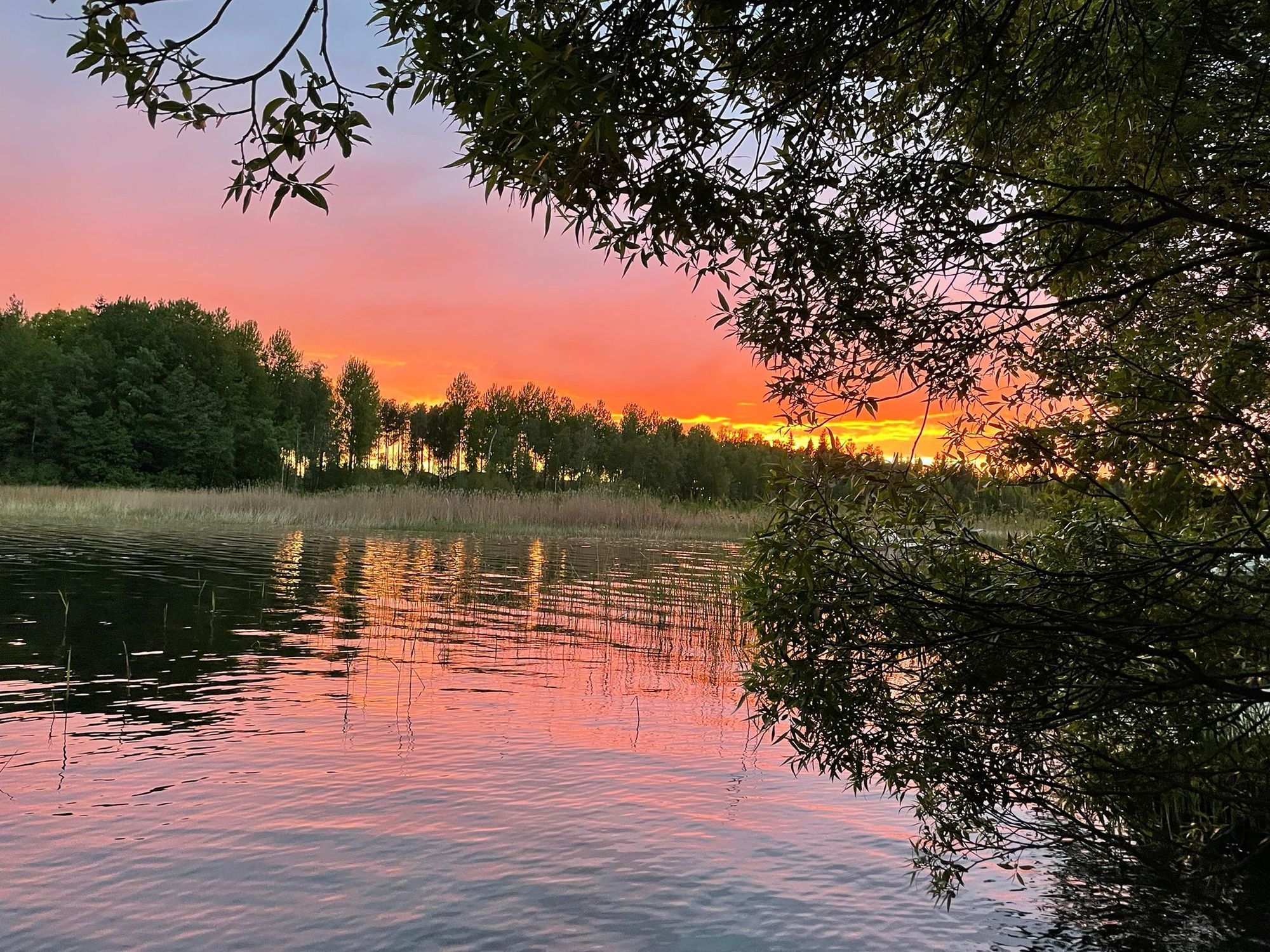 Sjöhuset - båtar, strand, bastu, brygga och grill! – bild 7 av 24