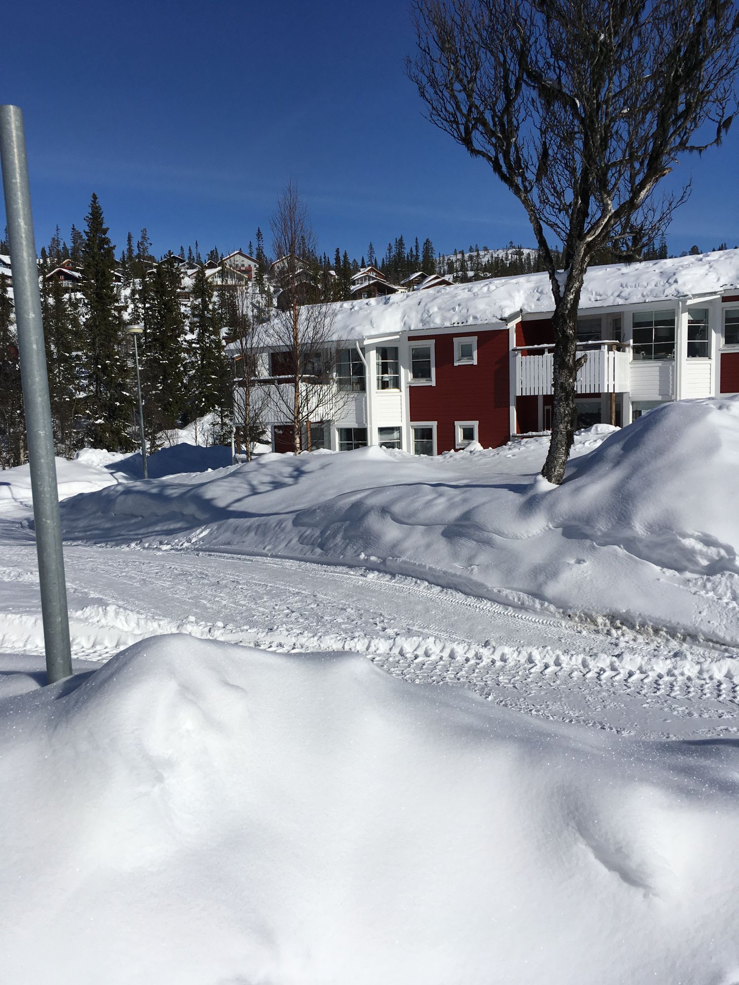 Vemdalsskalet/Vemdalen, Ski-in/out. – bild 3 av 16