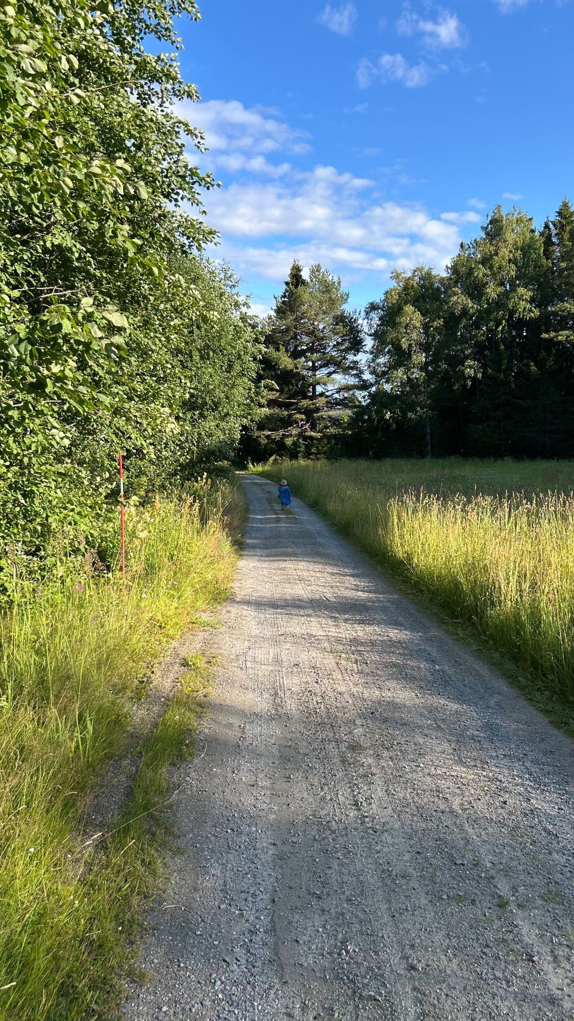Mysig stuga nära skog och hav – bild 10 av 12