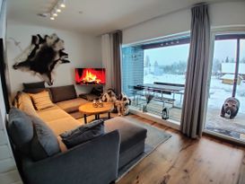 Booking in Borgafjäll - Stugor uthyres vid backen