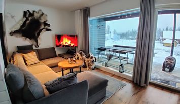 Booking in Borgafjäll - Stugor uthyres vid backen