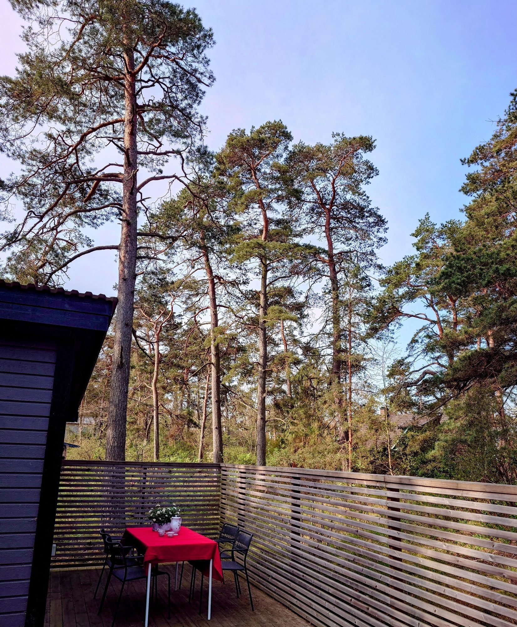 Stuga i Furuboda nära havet – bild 6 av 16