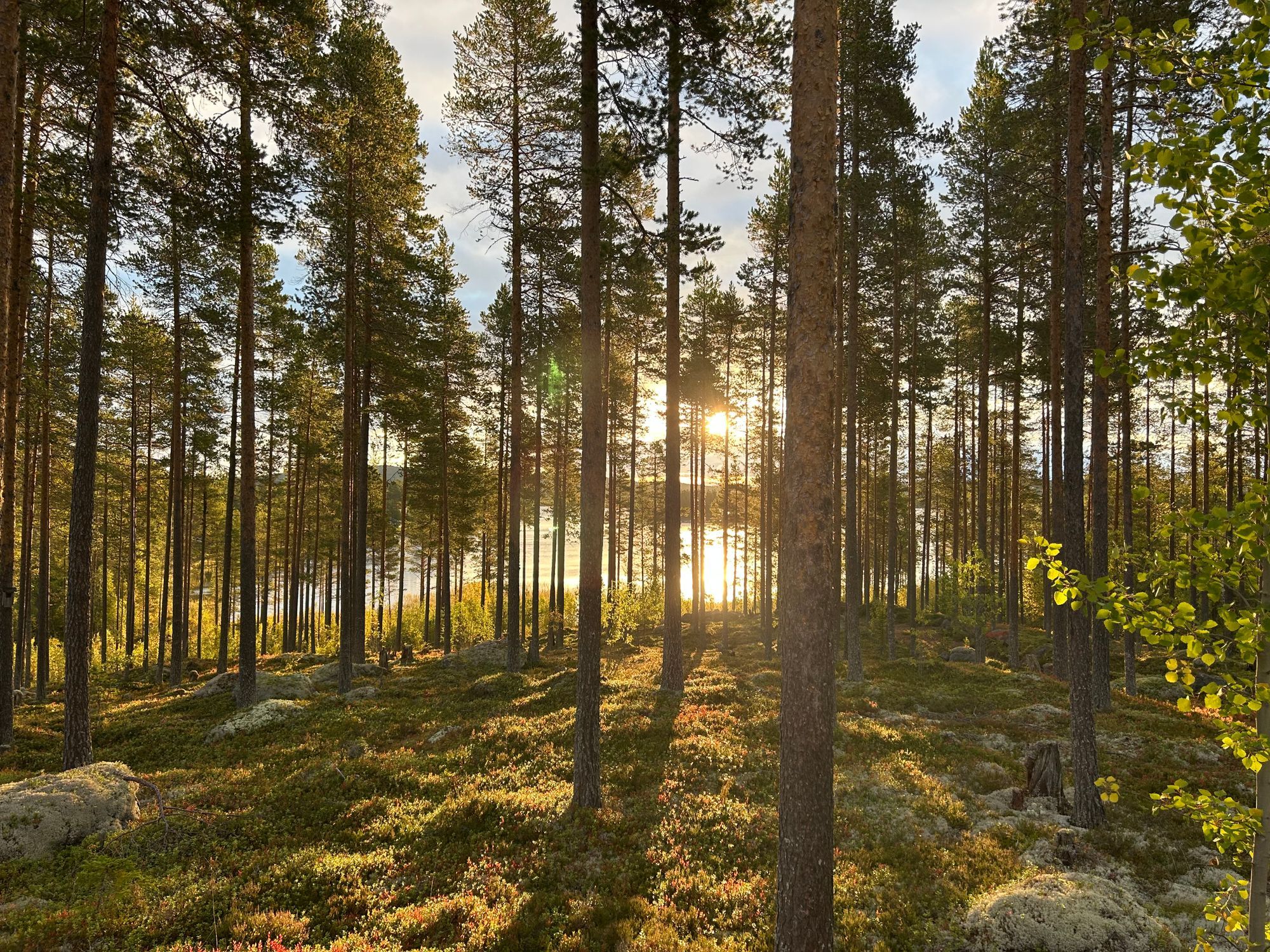 Rejäl off‑grid timmerstuga vackert belägen vid sjö – bild 14 av 23